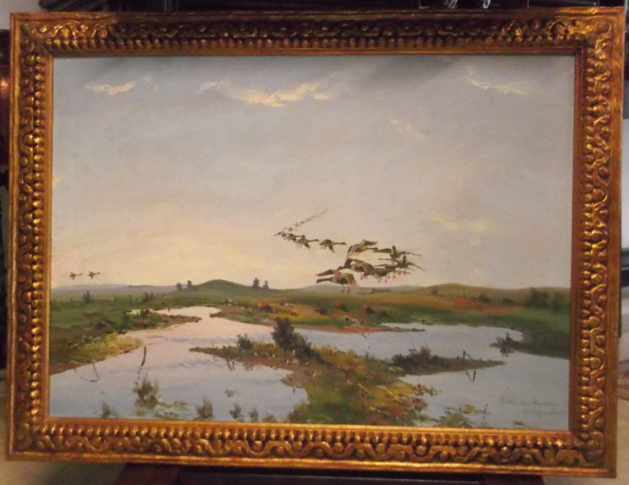 Anitre in volo